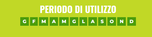 large-Immagine_2022-01-27_170138.png?1643299410