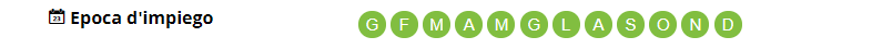 large-rinverdente_sprint.png?1577698590