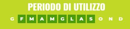 large-eclat_15.jpg?1583762681