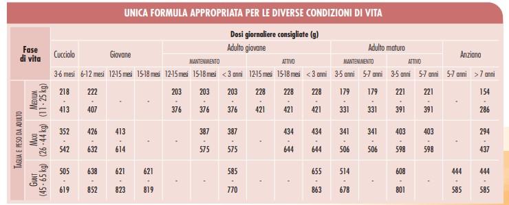 large-maxi_cervo.jpg?1591713229
