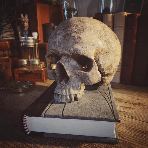 Offerta del giorno :)