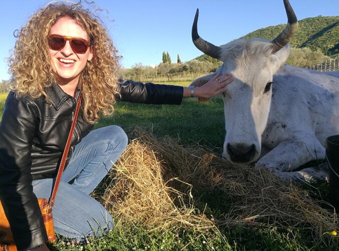 You are Gold  Collection