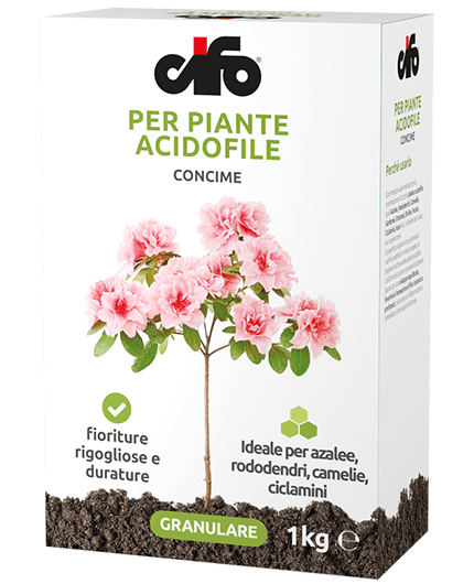 Concime Granulare Piante Acidofile Cifo 1 Kg