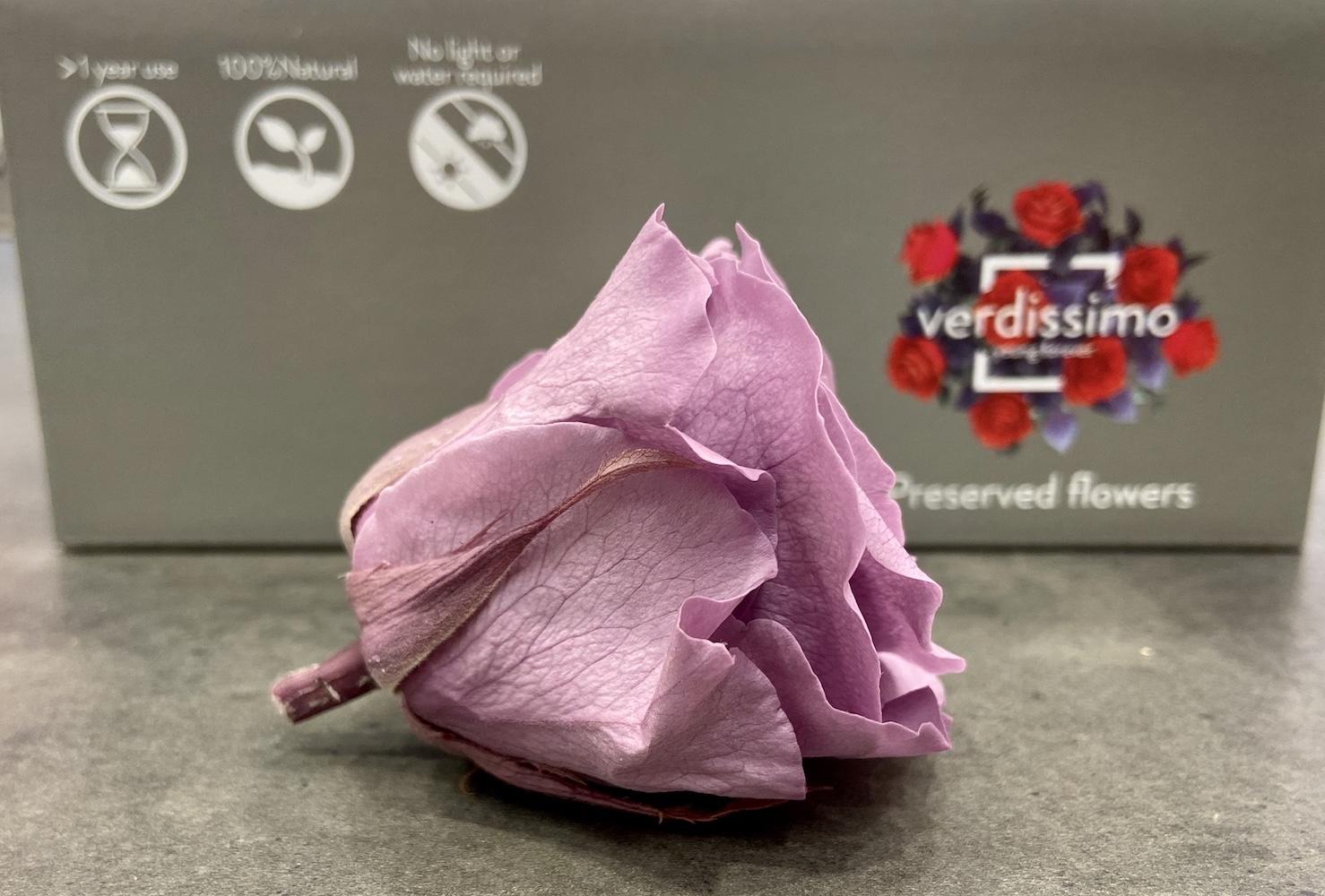 Teste Di Rosa Stabilizzate Lilla: 6 Pezzi Da 5-5,5 Cm, Fiori Naturali Che Durano Anni - Nessuna Manutenzione
