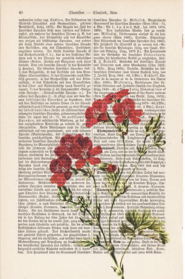Art On Words:"Wild Flower"