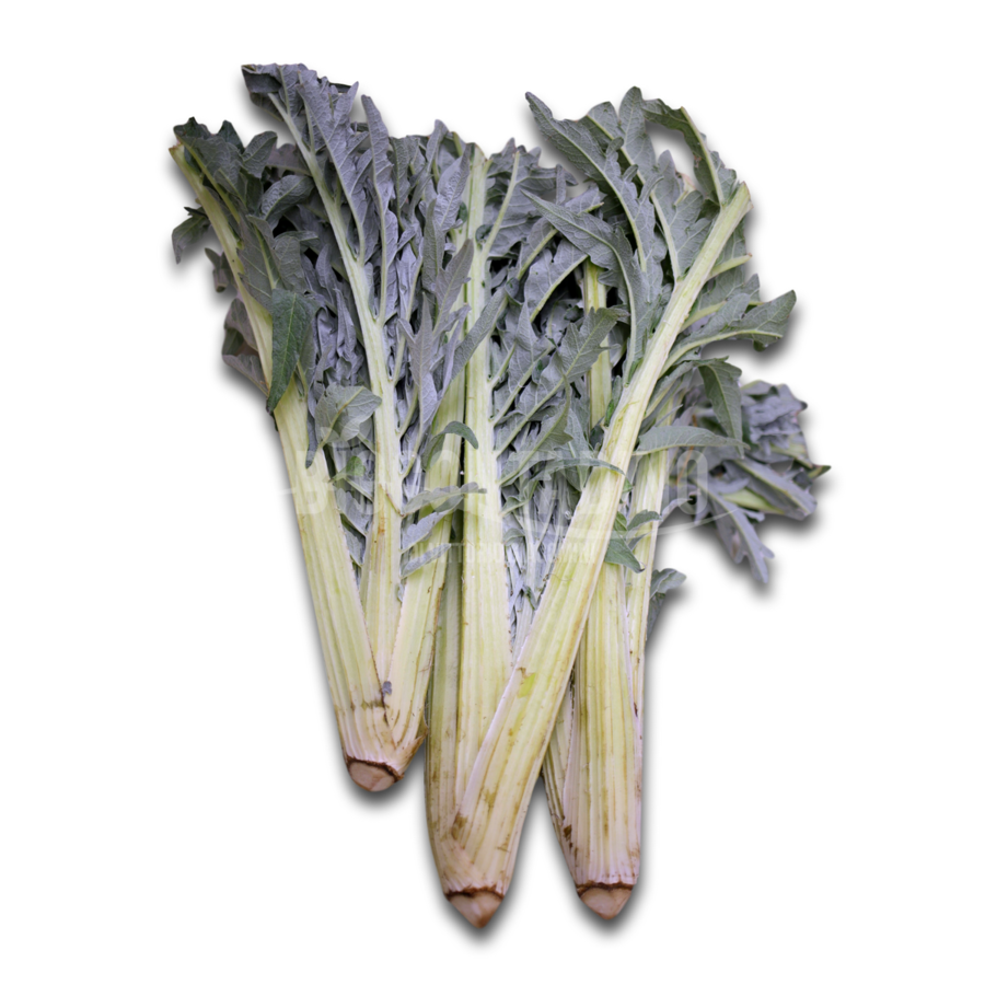 Gobbo di Trodica bio