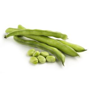 Fava biologica