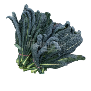 Cavolo nero di toscana bio