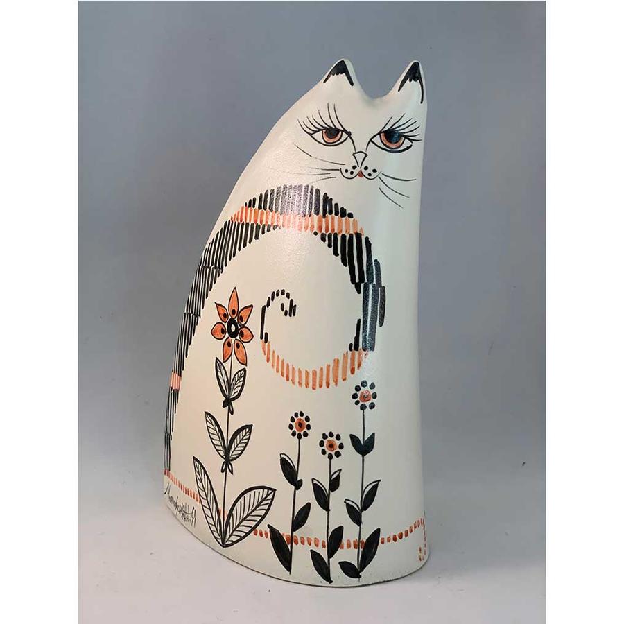 Gatto Sardo Medio