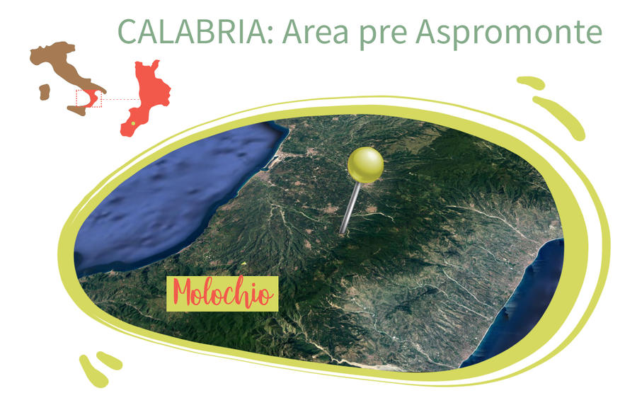 Altano, Liquori Tedesco, 70cl