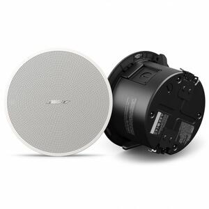 Bose DesignMax DM2C-LP