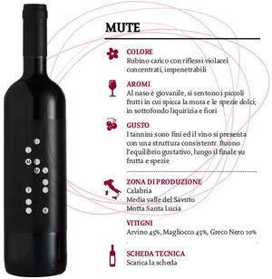 Vino Savuto Rosso Classico DOC Mute, Cantina  Le Moire, 750 ml