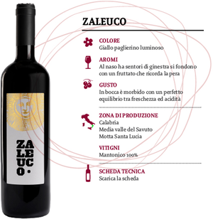 Vino Calabria Bianco IGT Zaleuco, Cantina  Le Moire, 750 ml