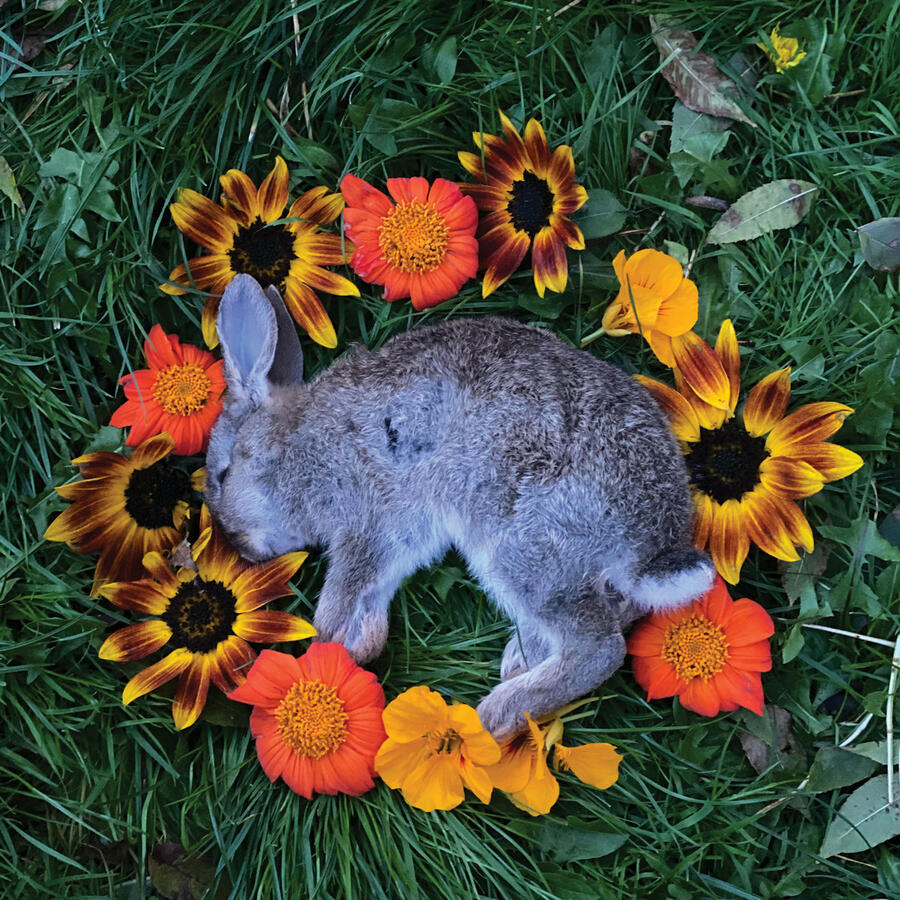 MONOLORD - YOUR TIME TO SHINE - 