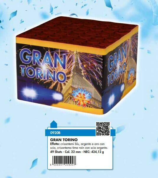 SPETTACOLO BORGONOVO GRAN TORINO