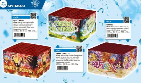 SPETTACOLO BORGONOVO WAIKIKI