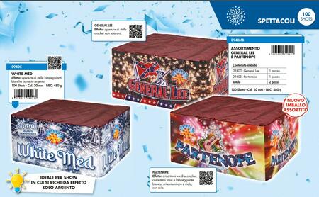 SPETTACOLO BORGONOVO PARTENOPE