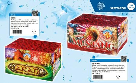 SPETTACOLO BORGONOVO AREN