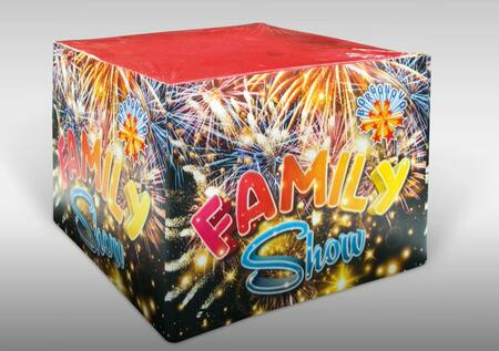 SPETTACOLO BORGONOVO FAMYLI SHOW