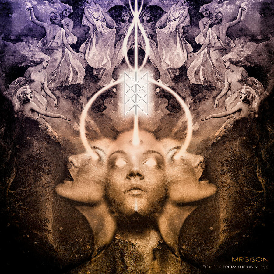 MR. BISON - ECHOES FROM THE UNIVERSE - 