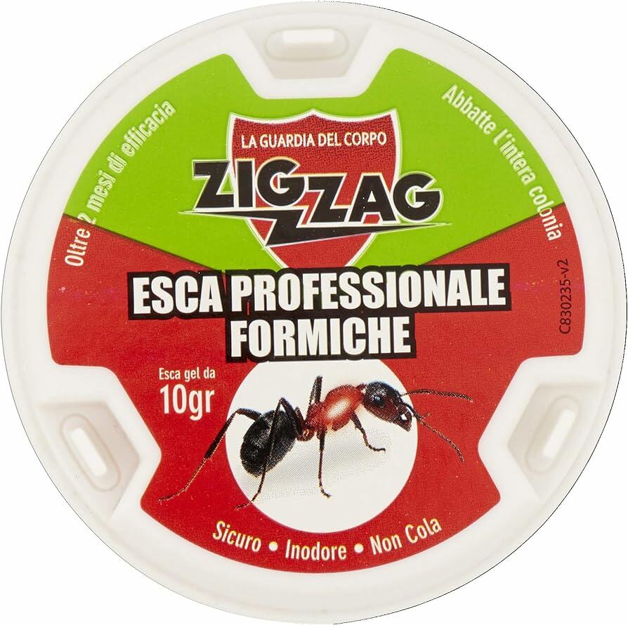 Zig Zag Scatolette Anti Formiche 10GR A SCATOLO DA 24 PEZZI