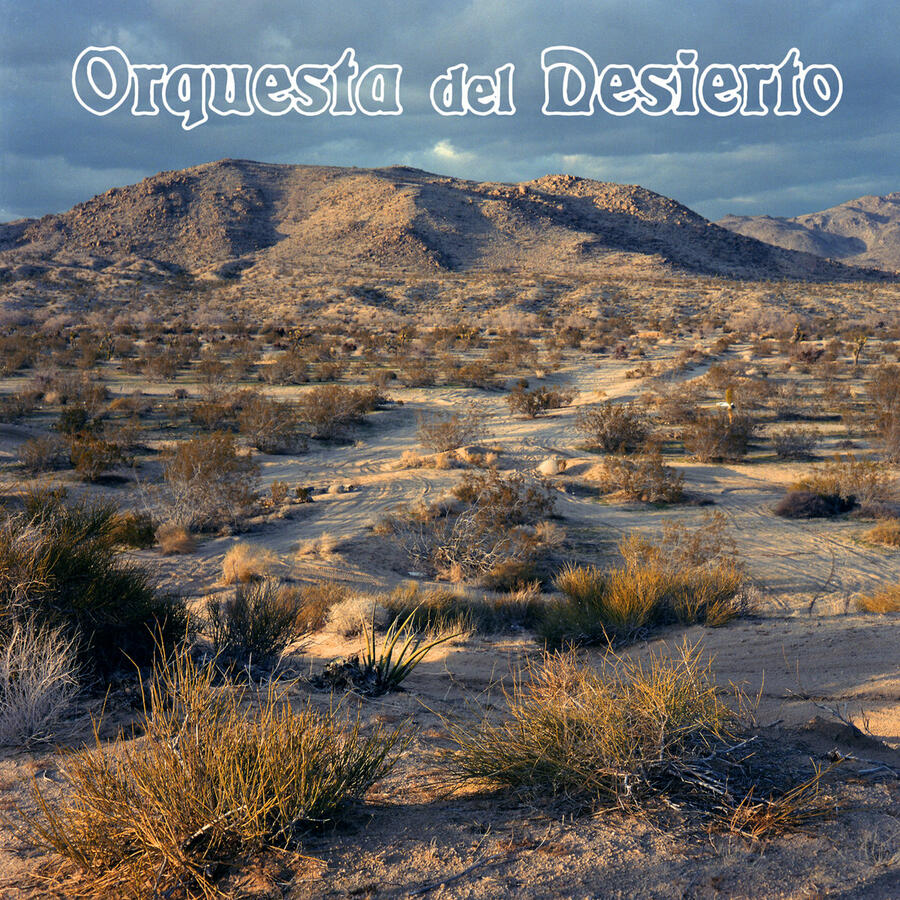 ORQUESTA DEL DESIERTO - ORQUESTA DEL DESIERTO -