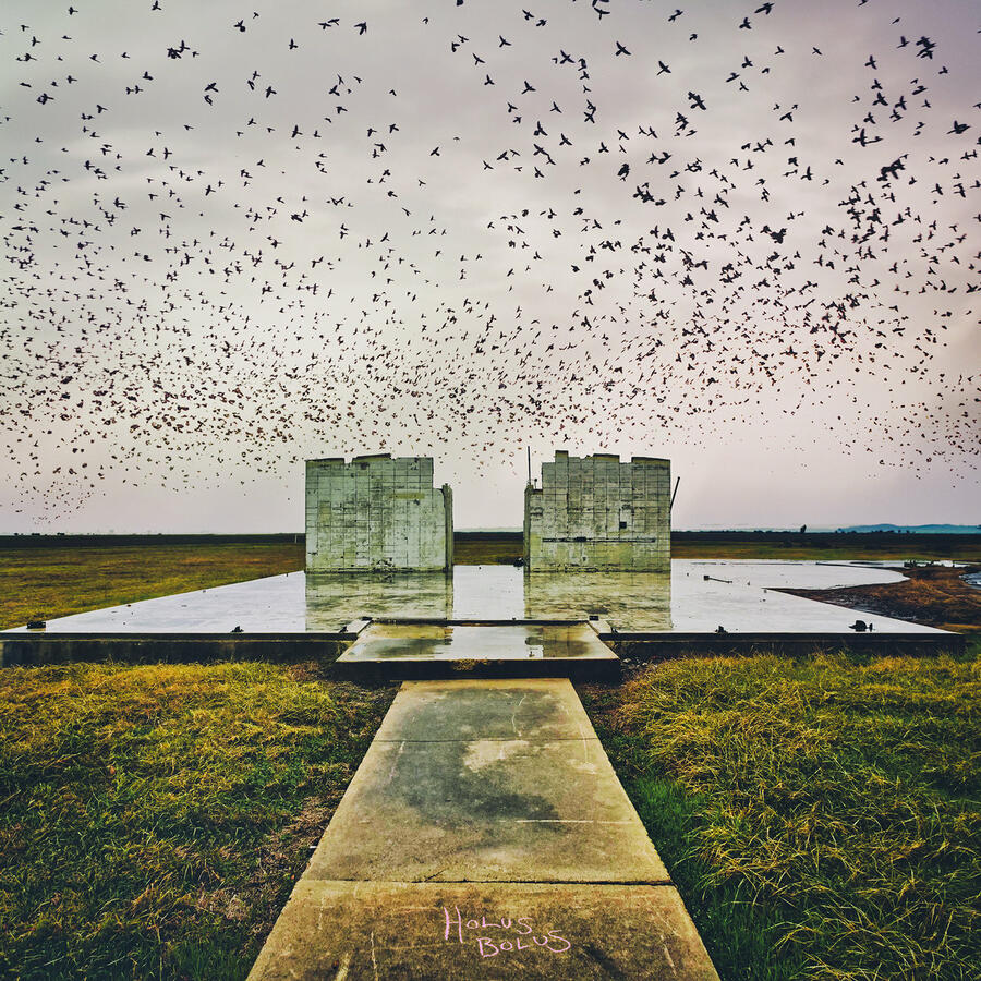 LORD BUFFALO - HOLUS BOLUS - 