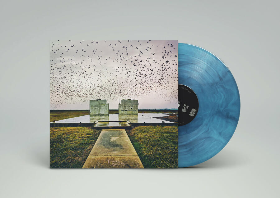 LORD BUFFALO - HOLUS BOLUS - 