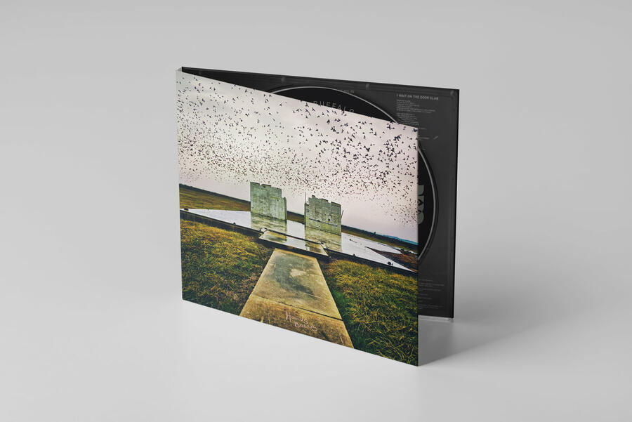 LORD BUFFALO - HOLUS BOLUS - 