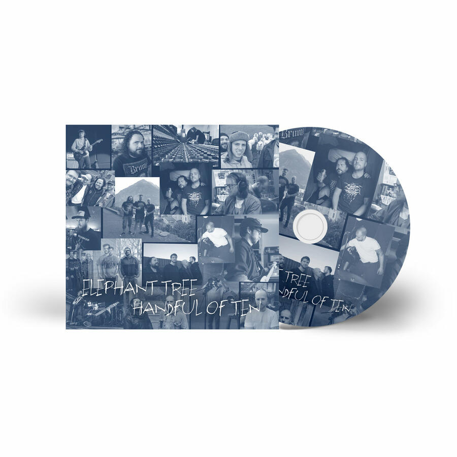 ELEPHANT TREE - HANDFUL OF TEN - 