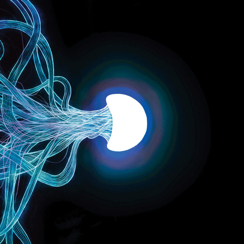 ELEPHANT TREE - ELEPHANT TREE - 