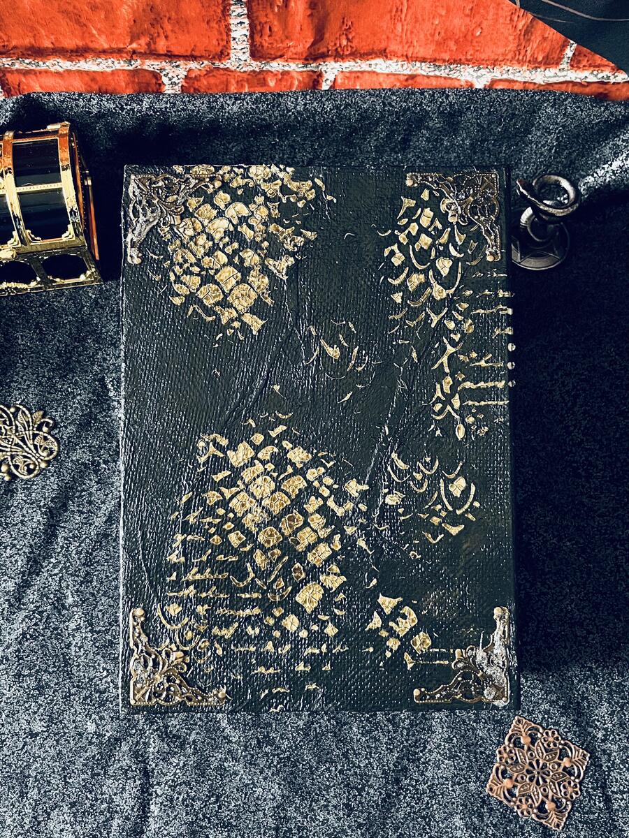 The Book of Dragons