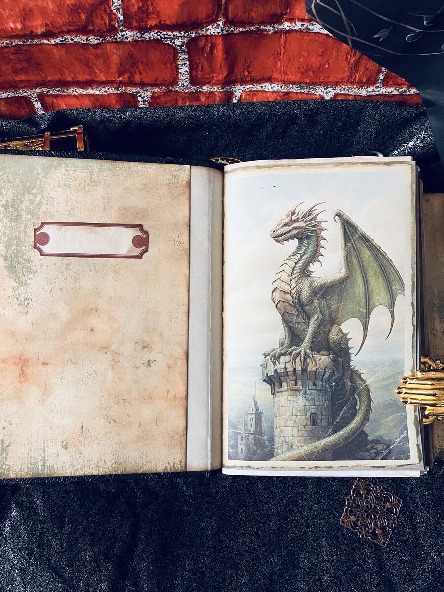The Book of Dragons