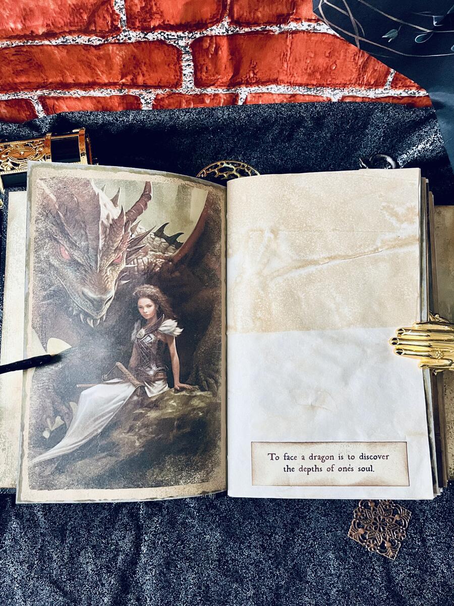 The Book of Dragons