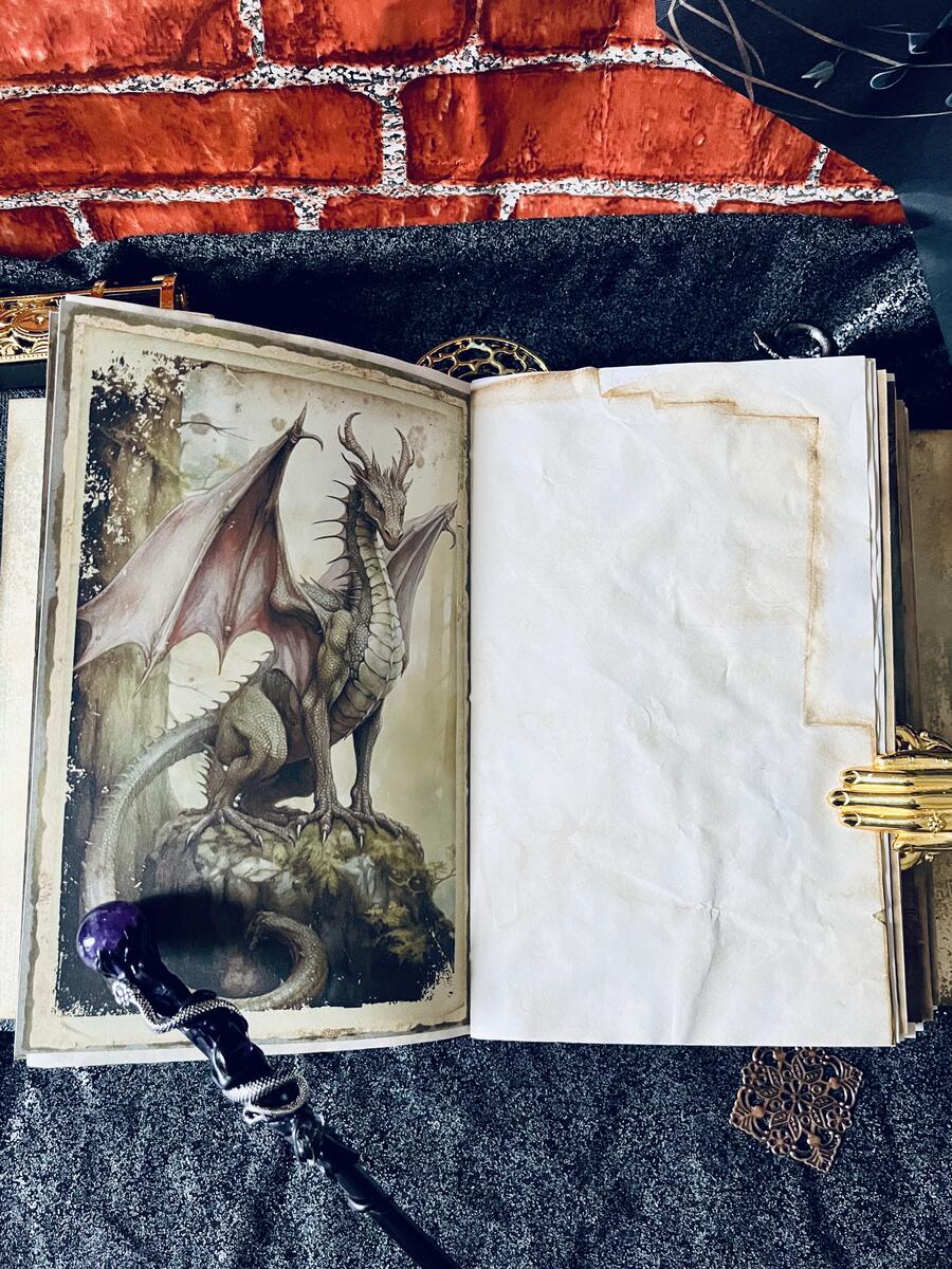 The Book of Dragons