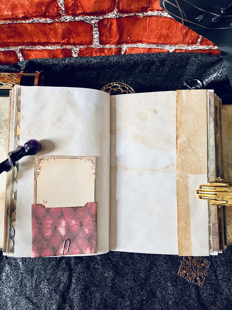 The Book of Dragons