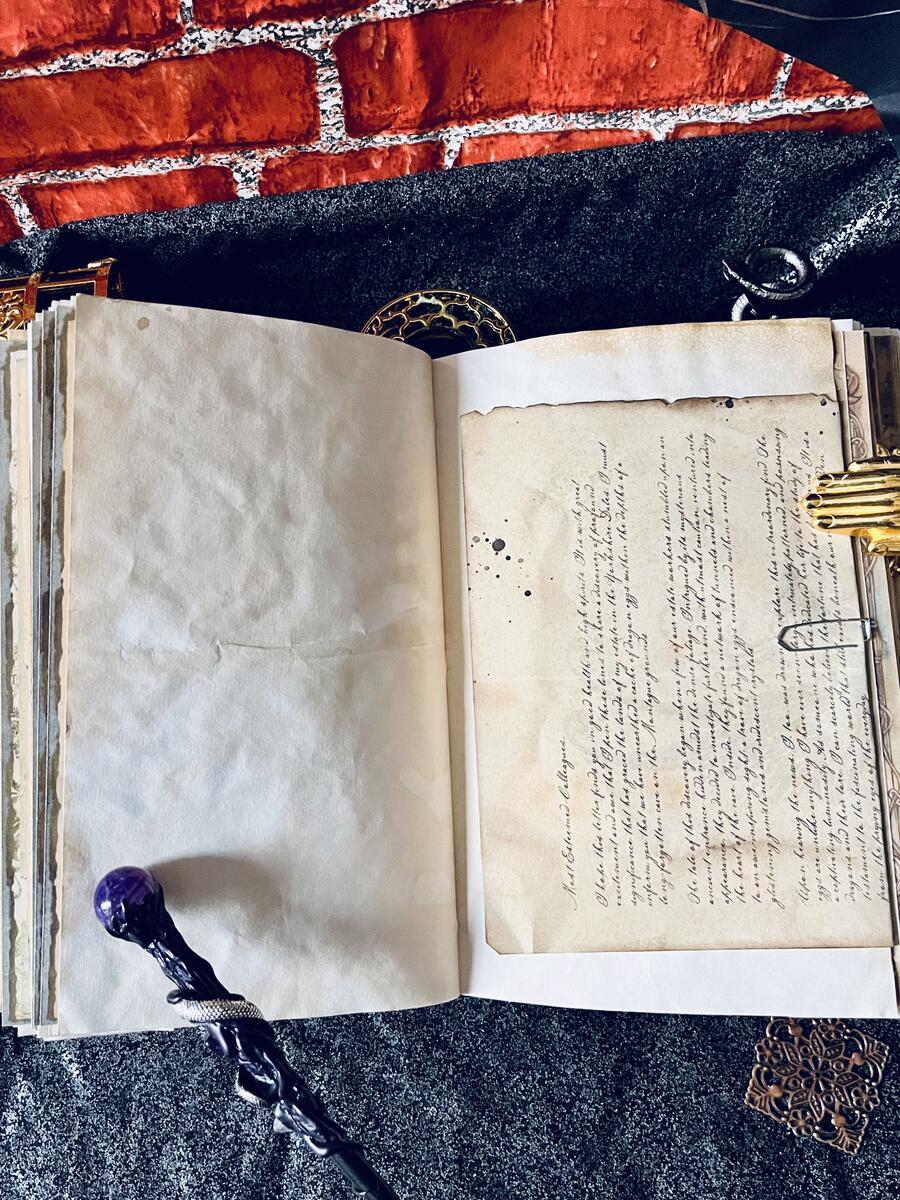 The Book of Dragons
