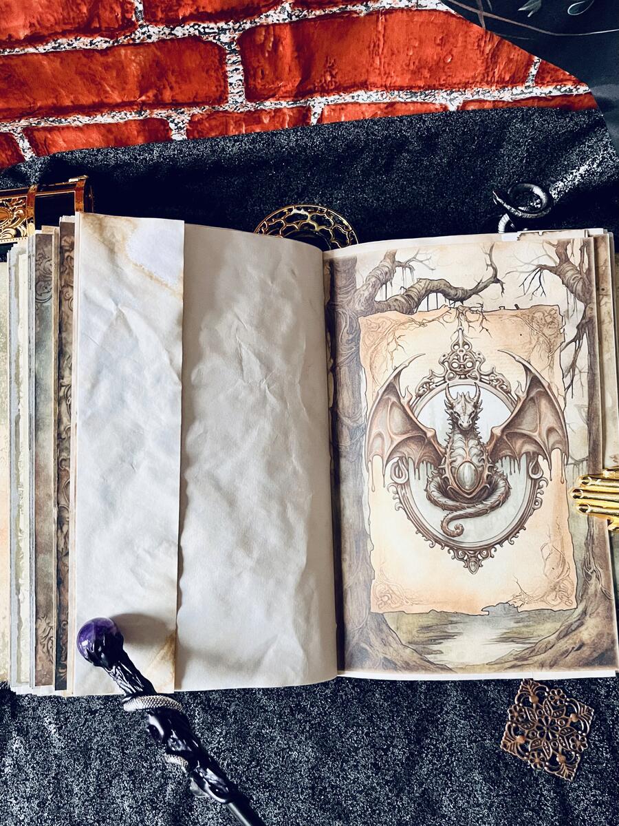 The Book of Dragons