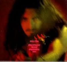 PAU RIBE - ELECTROCCID ACCID ALQUIMISTIC - (MUNSTER)