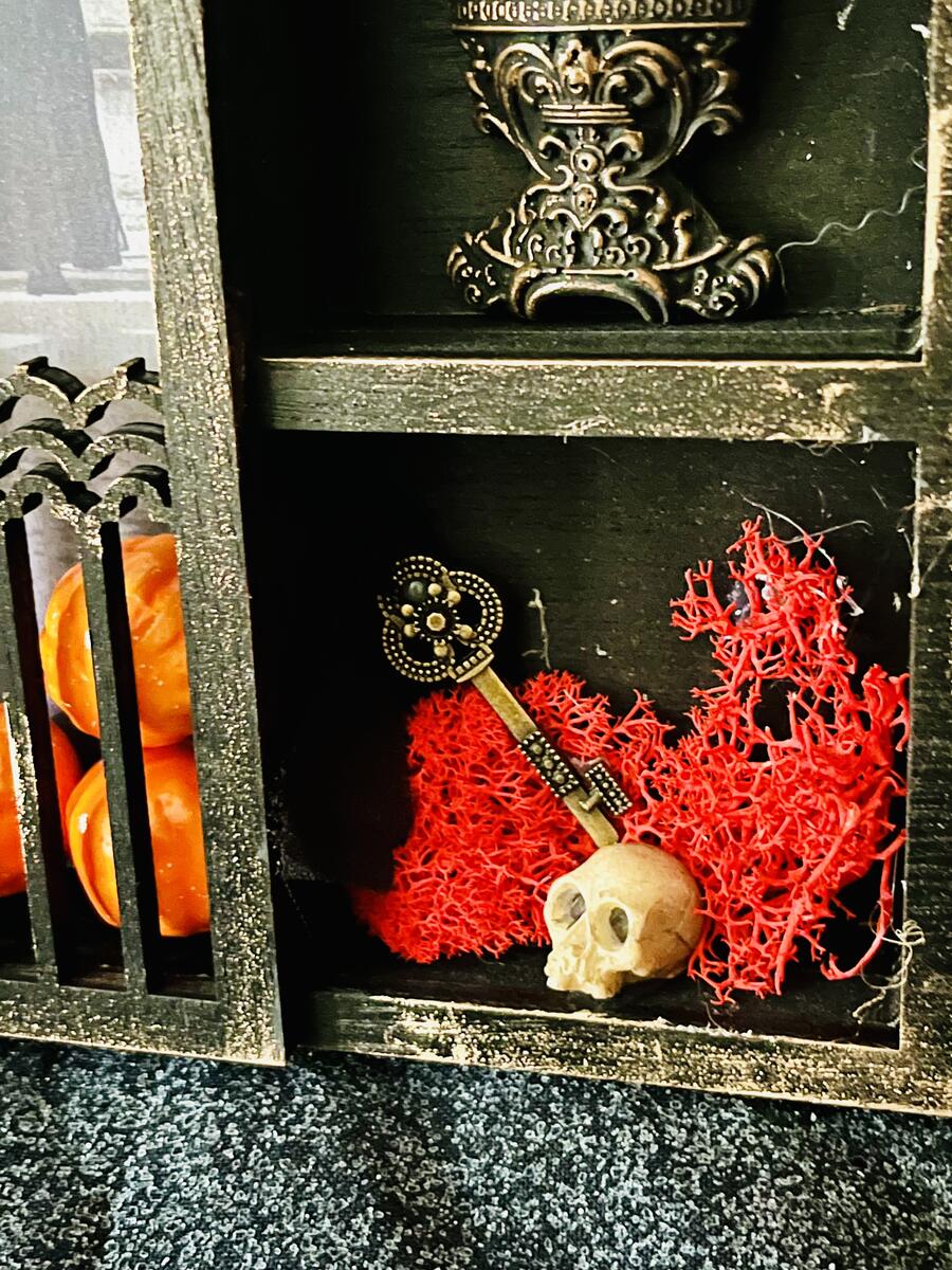 Cabinet of Curiosity