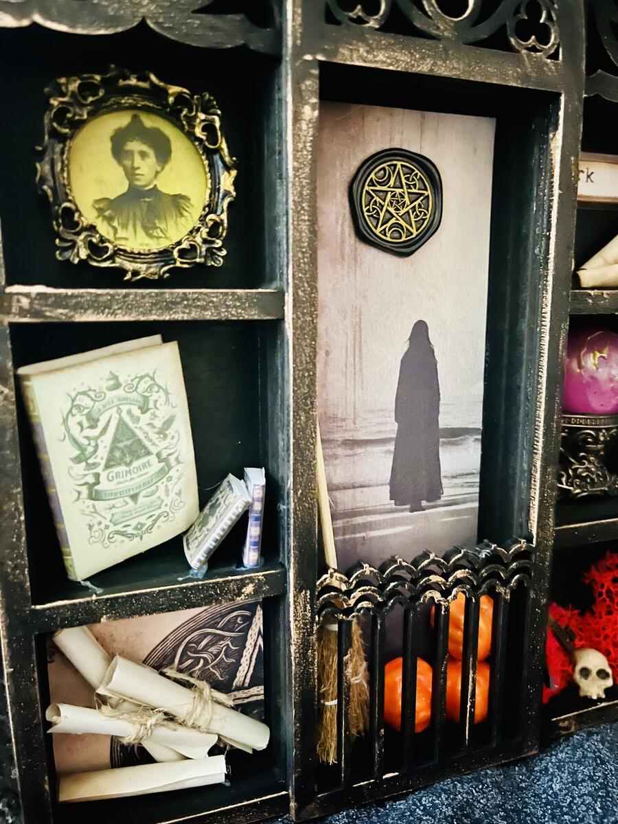 Cabinet of Curiosity