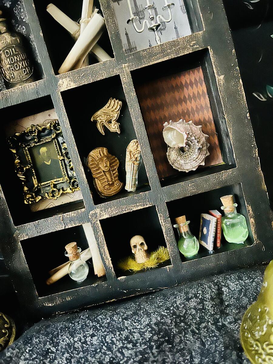 Cabinet of Curiosity 2