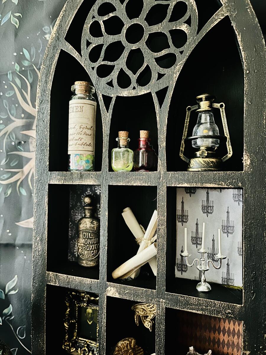 Cabinet of Curiosity 2