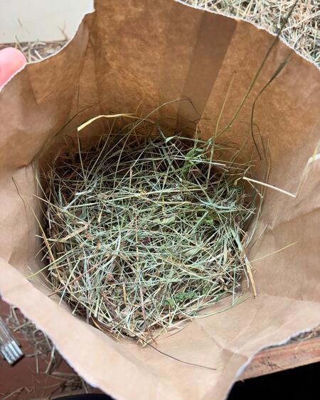 Agricola Marcodonato Fieno naturale - 5 kg. (confezione singola)