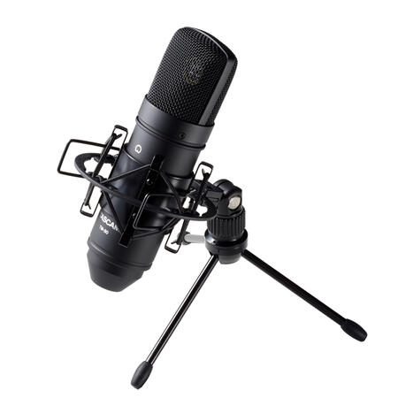Tascam TM-80
