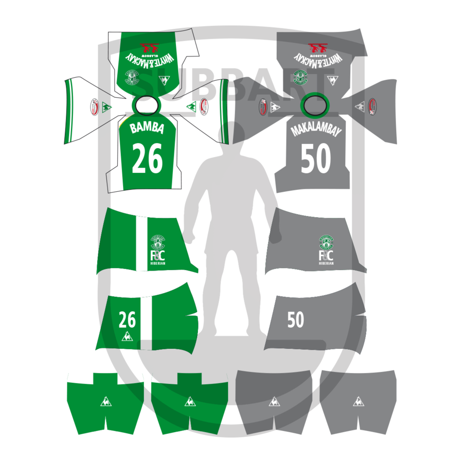 HIBERNIAN 2008-09