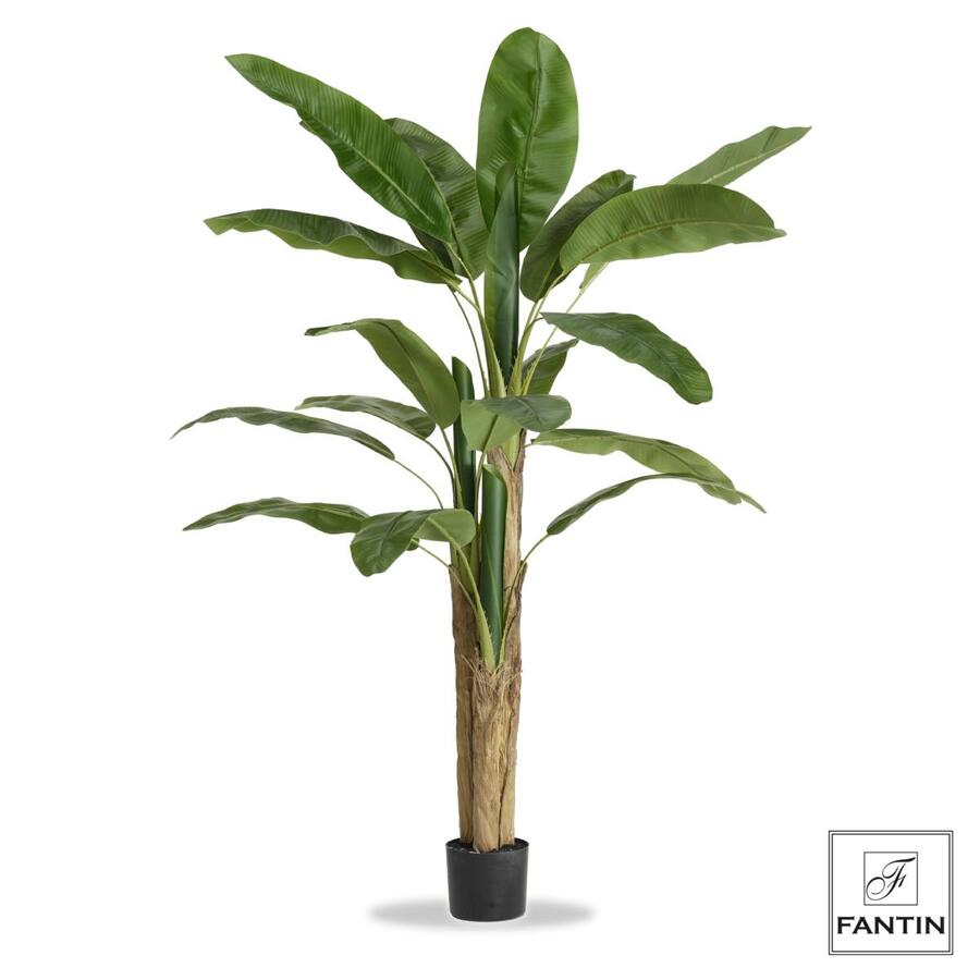 Fantin Argenti - Pianta finta Banano con vaso cm. 190h