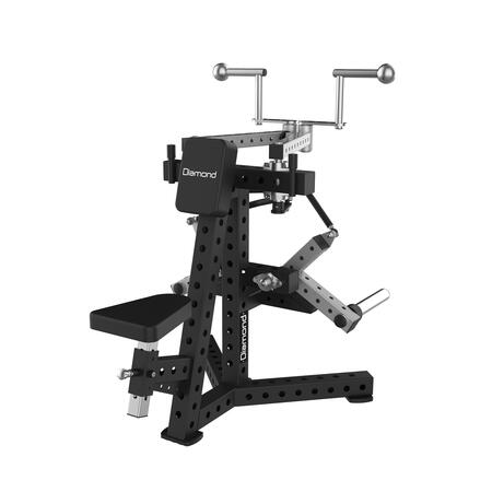  REAR DELT della Serie RIGS Plate Loaded Linea Diamond Fitness Cod. PL300-REARDELT