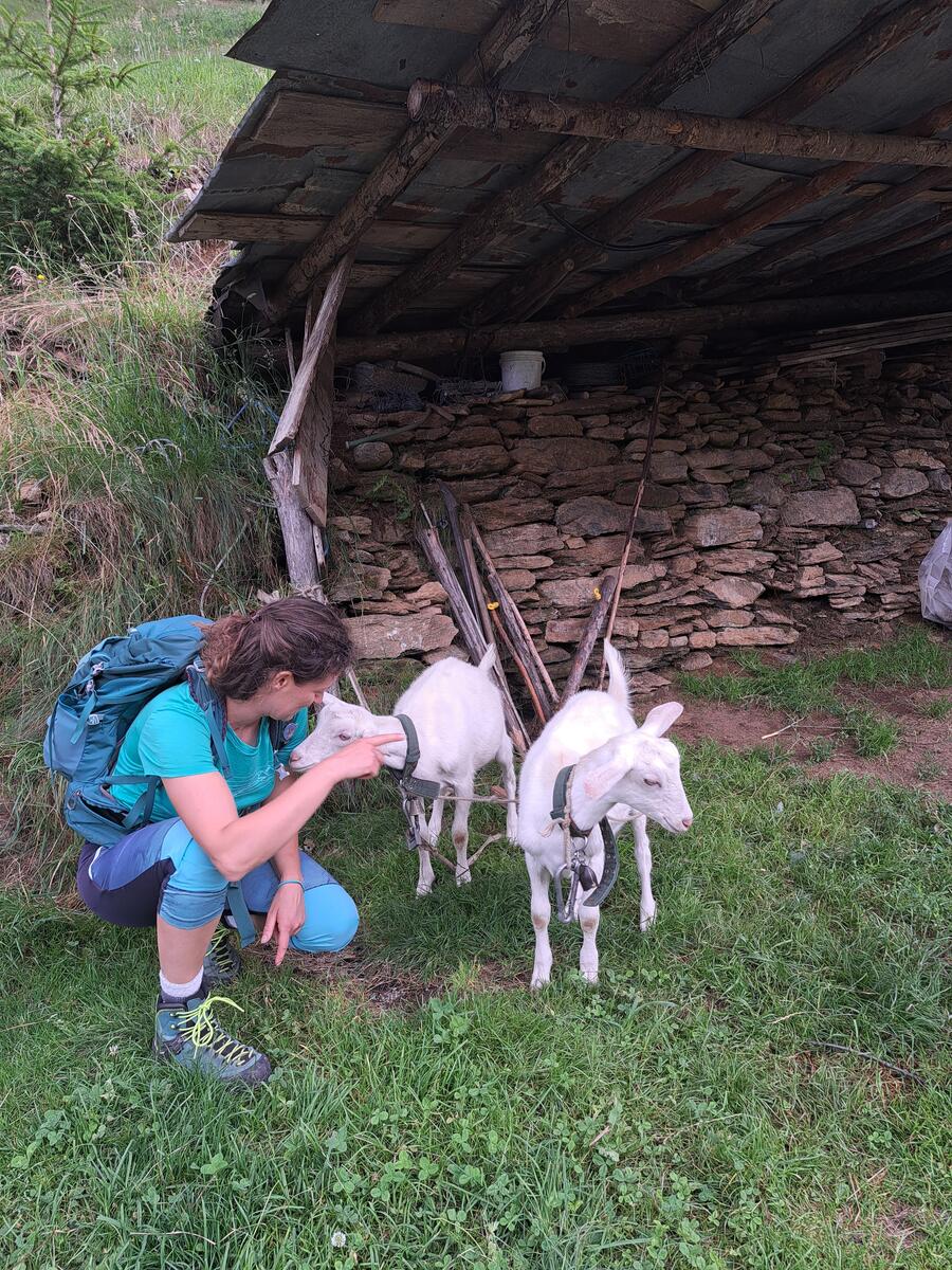 VAL TARTANO escursione inclusiva adatta a tutti - su richiesta.