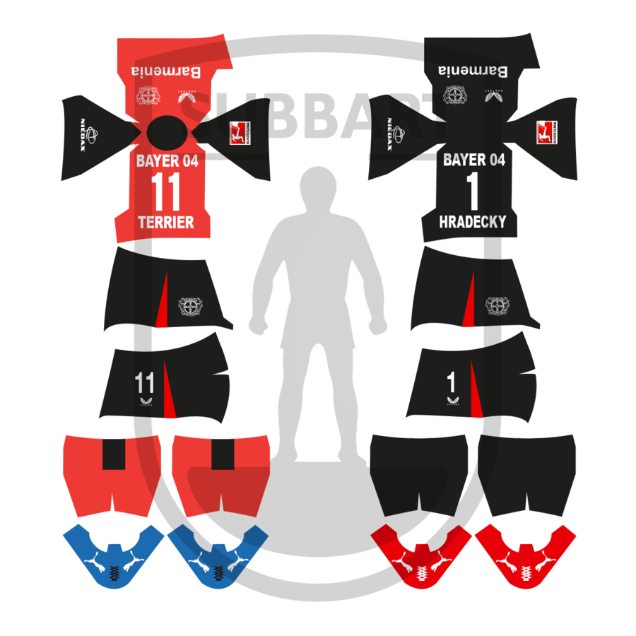 DECALS BAYER LEVERKUSEN 2024-25